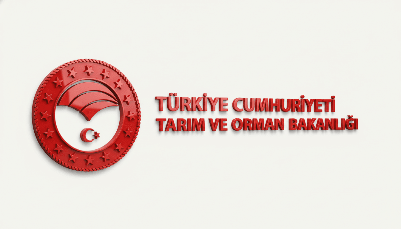 Sosyal Sorumluluk Hibe Projeleri