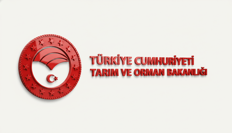 Hibe ve Kredi Destekleri